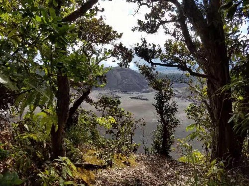 Volcano Forest Inn - image 31
