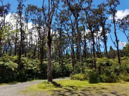 Volcano Forest Inn - image 34