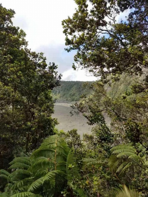 Volcano Forest Inn - image 38