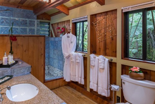 Volcano Village Lodge - image 10