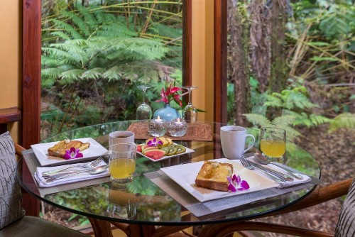 Volcano Village Lodge - image 19