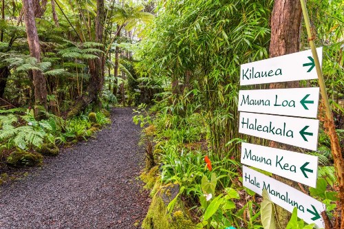 Volcano Village Lodge - image 2