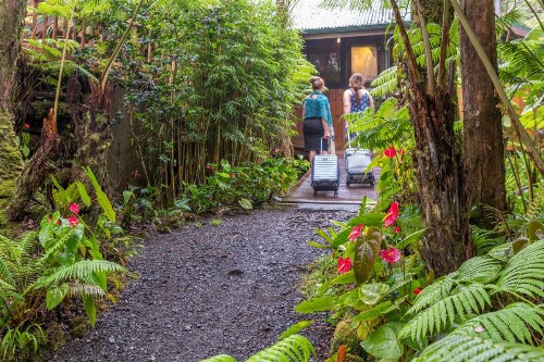 Volcano Village Lodge - image 3
