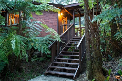 Volcano Village Lodge - image 4