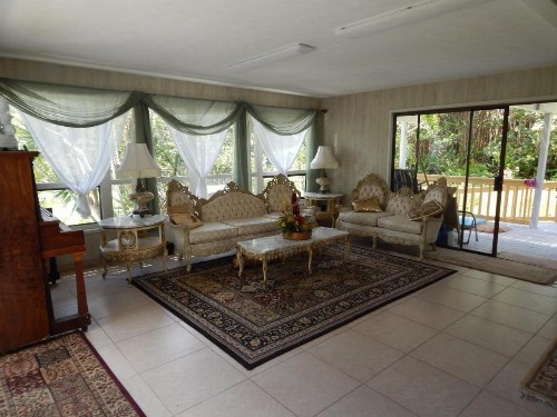 Fern Forest Getaway - image 1