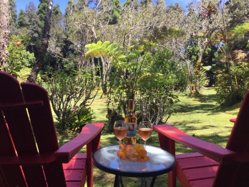 Hale 'Ohu Bed & Breakfast - image 1