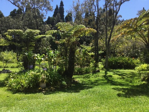Hale 'Ohu Bed & Breakfast - image 14