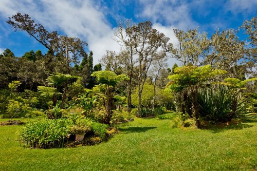 Hale 'Ohu Bed & Breakfast - image 24