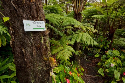 Hale 'Ohu Bed & Breakfast - image 25