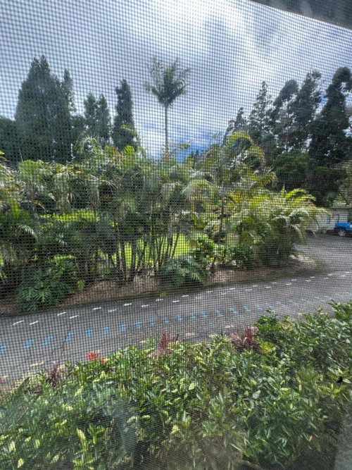 Aloha Junction Bed & Breakfast - image 26