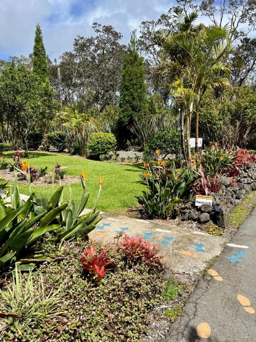 Aloha Junction Bed & Breakfast - image 32