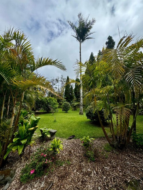Aloha Junction Bed & Breakfast - image 36