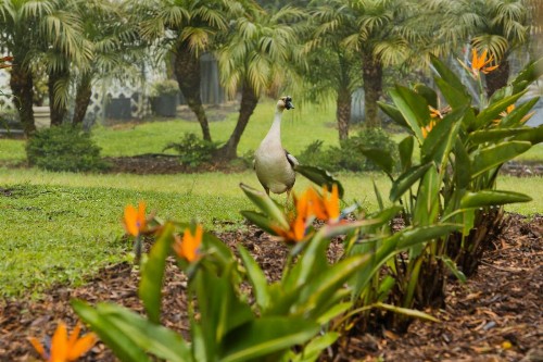 Aloha Junction Bed & Breakfast - image 47