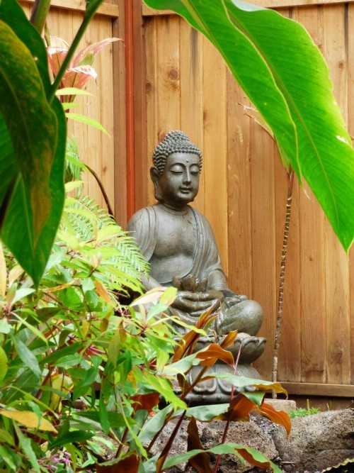Lotus Garden Cottages - image 8