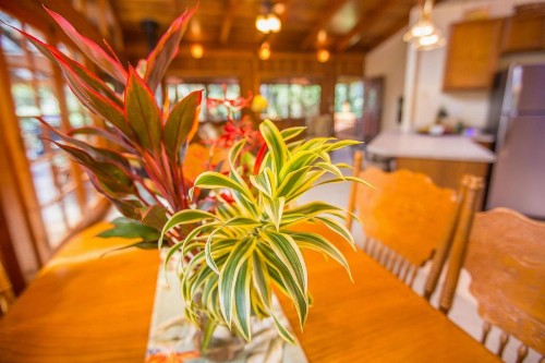 Hale Mauna Loa Upper Level - image 6