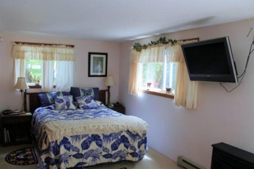 Country Goose - image 10