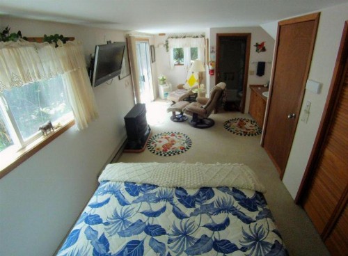Country Goose - image 11