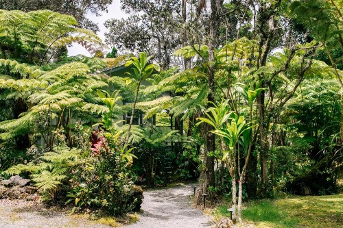 Kilauea Lodge and Restaurant - image 8