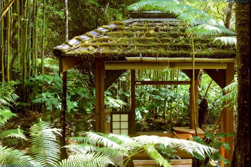 Volcano Rainforest Retreat - image 21