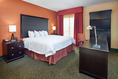 Hampton Inn & Suites Waco-South - image 28