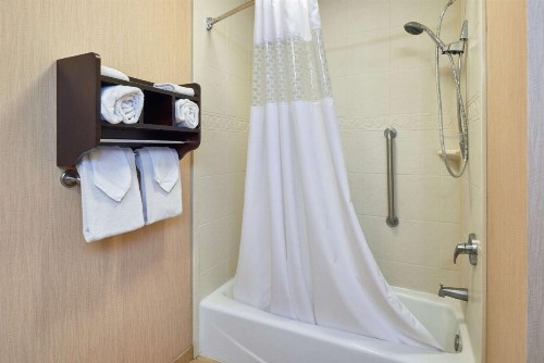 Hampton Inn & Suites Waco-South - image 33