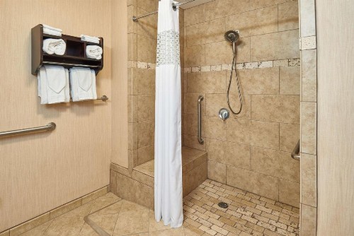 Hampton Inn & Suites Waco-South - image 42