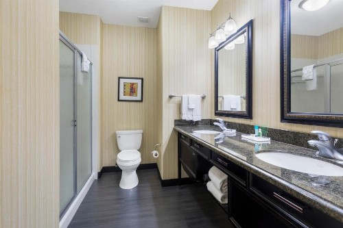Holiday Inn Hotel & Suites Waco Northwest an IHG Hotel - image 12