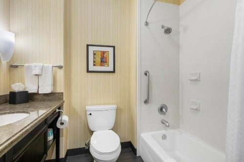 Holiday Inn Hotel & Suites Waco Northwest an IHG Hotel - image 29
