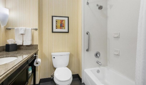 Holiday Inn Hotel & Suites Waco Northwest an IHG Hotel - image 49