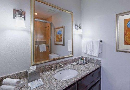 Hilton Waco - image 40