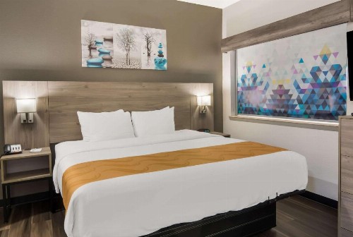 Quality Inn & Suites - image 15