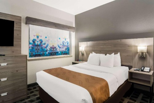 Quality Inn & Suites - image 16