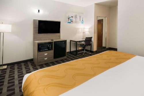 Quality Inn & Suites - image 35