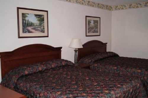 Budget Inn - image 6