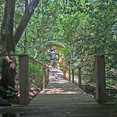 Bed and Breakfast on White Rock Creek - image 14