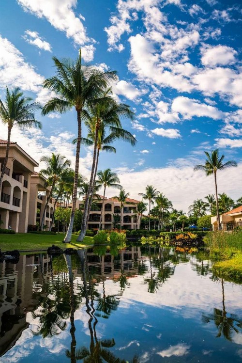 Aston Shores At Waikoloa - image 10