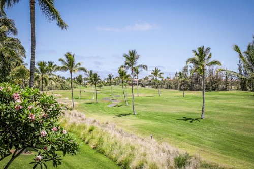 Fairway Villas Waikoloa By Outrigger - image 46