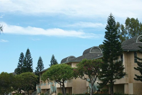 Paniolo Greens Resort - image 14