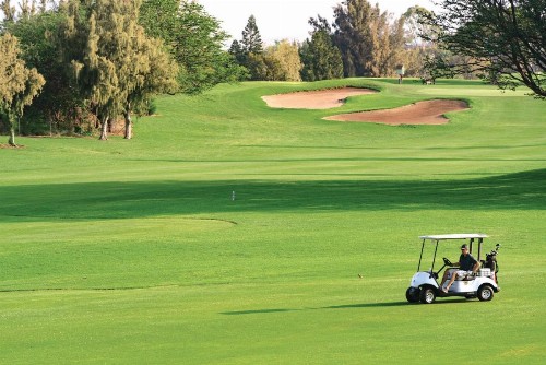 Paniolo Greens Resort - image 38