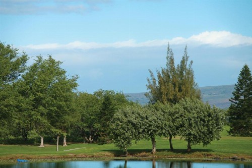 Paniolo Greens Resort - image 39