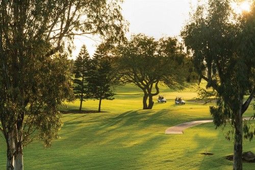Paniolo Greens Resort - image 42