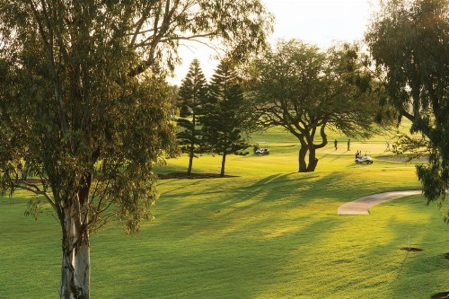 Paniolo Greens Resort - image 45