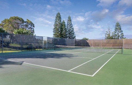 Paniolo Greens Resort - image 6