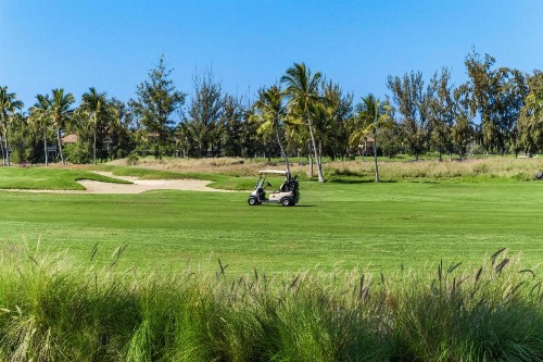 Waikoloa Beach Villas O2 - image 12