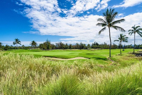 Waikoloa Beach Villas G2 - image 30