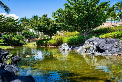 Shores at Waikoloa 234 at Bo Tree Tower - image 41