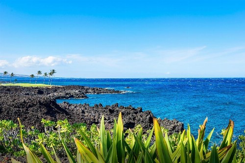 Hali'i Kai 2B - image 21
