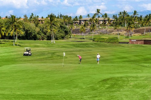Fairway Villas Waikoloa A21 - image 15