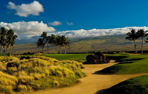 Fairway Villas Waikoloa A21 - image 29