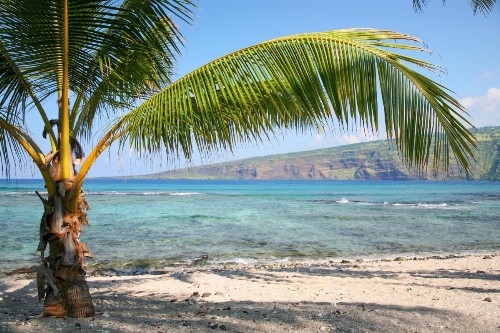 Fairway Villas Waikoloa F6 - image 25